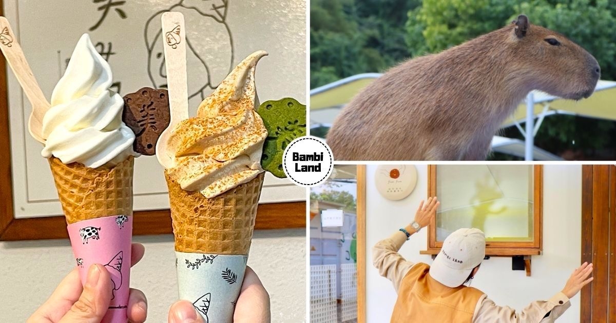 【宜蘭】斑比山丘開啟抹茶季！　全新「動物泳池」可以看水豚游泳　親子必玩「影子怪物」互動沈浸式體驗！