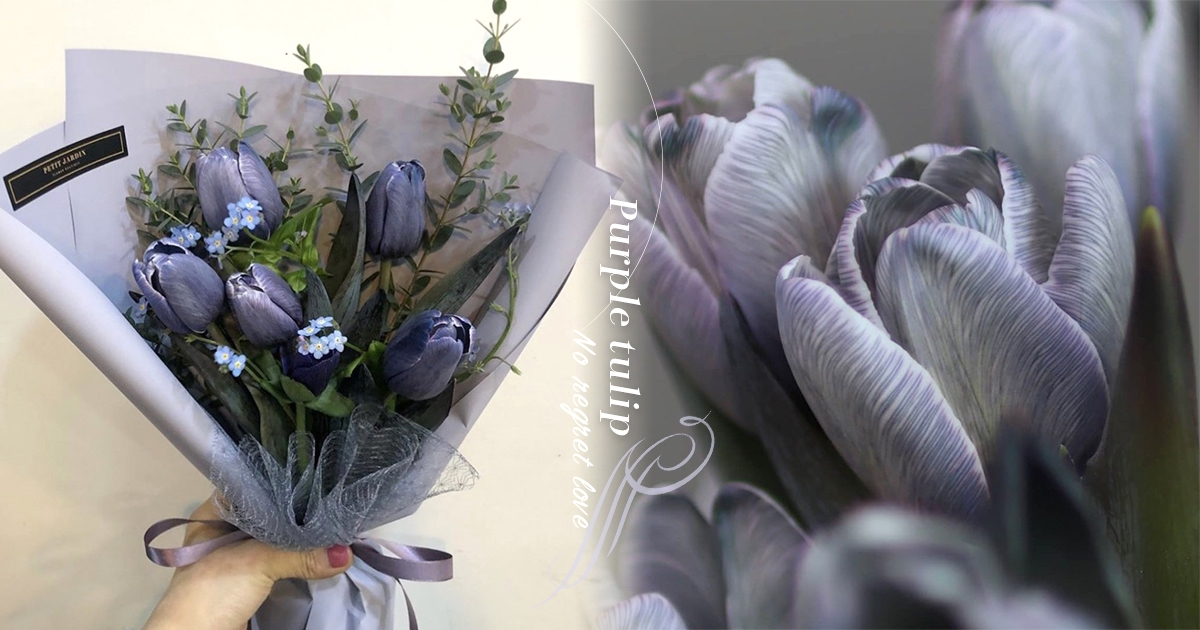 存在本身就是美 氣質柔美款 霧紫藍鬱金香 正夯花語 這一生無遺憾的愛 Tripgo 旅行趣 Tripgo 旅行趣 存在本身就是美 氣質柔美款 霧紫藍鬱金香 正夯花語 這一生無遺憾的愛 Tripgo 旅行趣 Tripgo 旅行趣